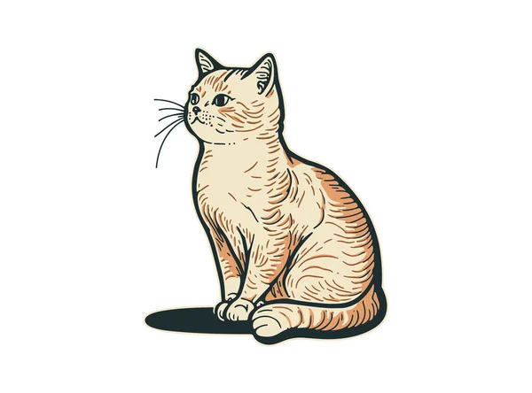 Gattino Soffice Simpatico Gatto Disegnato Mano Linea Stile Vettoriale Illustrazione — Vettoriale Stock