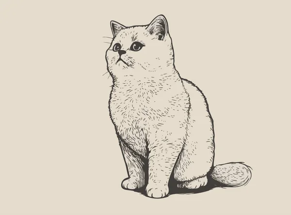 Yumuşak Kedi Yavrusu Şirin Kedi Eli Çizilmiş Çizgi Çizimi Biçim — Stok Vektör