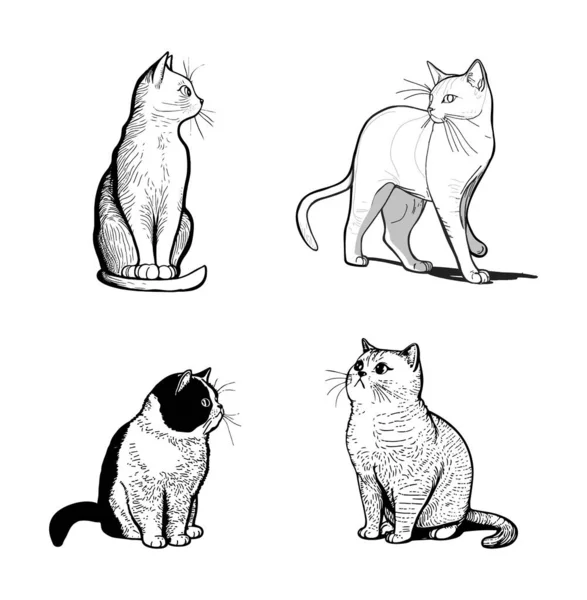 Χαριτωμένο Χέρι Γάτα Ζωγραφισμένα Γραμμή Στυλ Διανυσματική Εικονογράφηση Που Απομονώνονται — Διανυσματικό Αρχείο