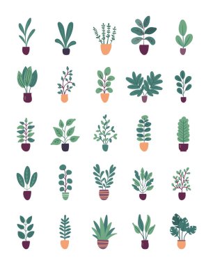 Beyaz arkaplanda izole edilmiş düz vektör trendli saksı bitkileri koleksiyonu