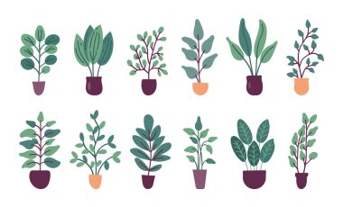 Beyaz arkaplanda izole edilmiş düz vektör trendli saksı bitkileri koleksiyonu