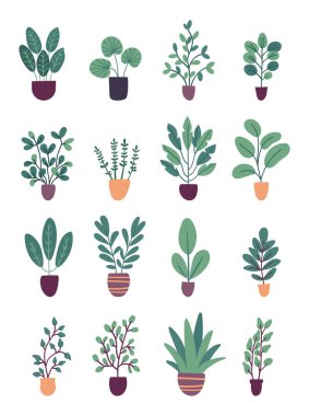 Beyaz arkaplanda izole edilmiş düz vektör trendli saksı bitkileri koleksiyonu