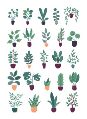Beyaz arkaplanda izole edilmiş düz vektör trendli saksı bitkileri koleksiyonu