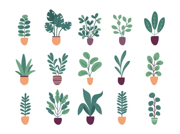 Collection Plantes Pot Mode Vecteur Plat Isolées Sur Fond Blanc — Image vectorielle
