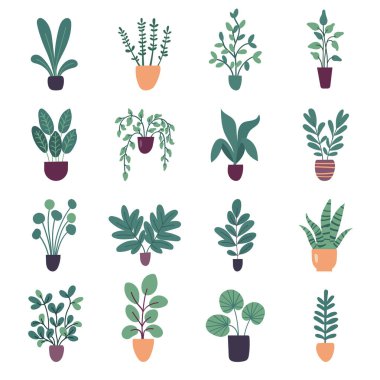Beyaz arka planda izole edilmiş düz vektör ev bitkileri koleksiyonu