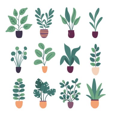 Beyaz arka planda izole edilmiş düz vektör ev bitkileri koleksiyonu