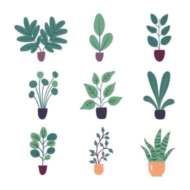 Beyaz arka planda izole edilmiş düz vektör ev bitkileri koleksiyonu