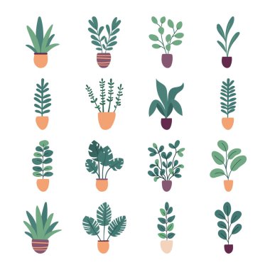 Beyaz arka planda izole edilmiş düz vektör ev bitkileri koleksiyonu