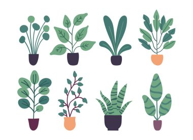 Beyaz arka planda izole edilmiş düz vektör ev bitkileri koleksiyonu