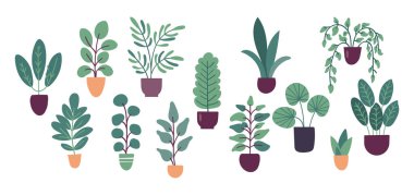 Beyaz arka planda izole edilmiş düz vektör ev bitkileri koleksiyonu