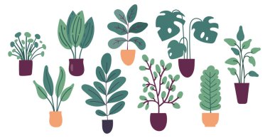 Beyaz arka planda izole edilmiş düz vektör ev bitkileri koleksiyonu