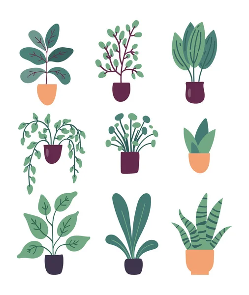 Collection Flat Vector House Plants Isolated White Background — Stock Vector