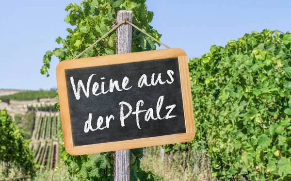 Blackboard Vineyards Wines Palatine German Weine Aus Der Pfalz — Stock Photo, Image