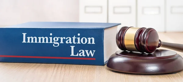 Livre Droit Avec Marteau Droit Immigration — Photo