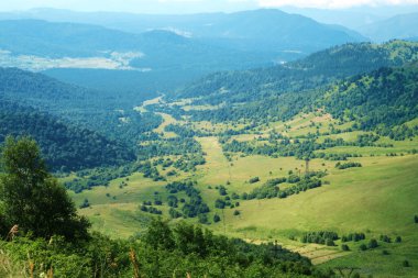 Yeşil çayırlarda, ağaçlarda ve dağlarda manzara