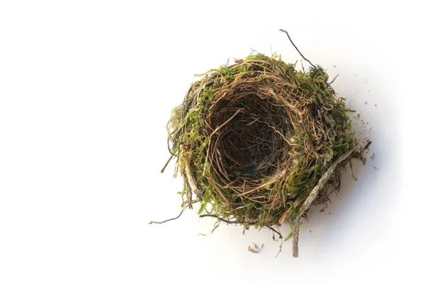 Empty Bird Nest White Surface — Stock Photo, Image