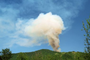 Gökyüzünden yükselen büyük bir duman bulutuyla orman yangını. 