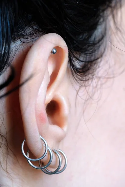 piercings on an ear. Set of different types of women earrings