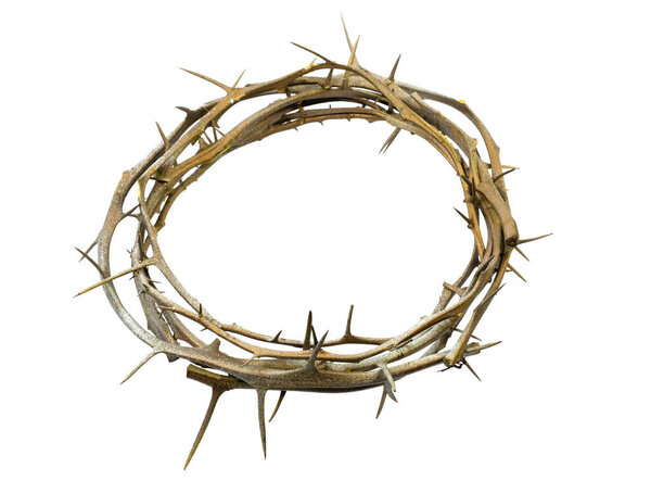 A crown of thorns isolated on a white background