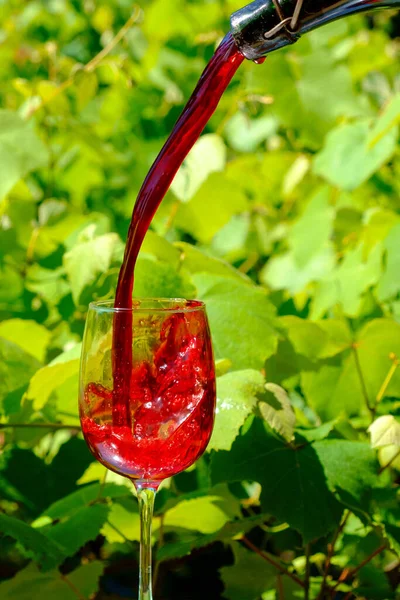Rode Wijn Giet Het Wijnglas Wazig Wijngaard Achtergrond — Stockfoto