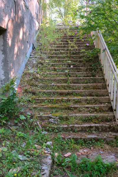 Escadas Uma Casa Abandonada Coberta Grama — Fotografia de Stock