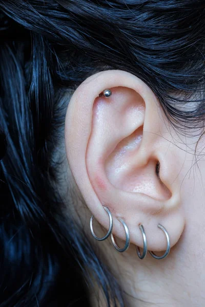 Piercings on an ear. Set of different types of women earrings