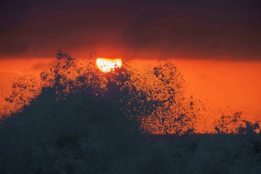 Büyük su sıçratan dalgaların silueti dramatik renkli günbatımı arkaplanı