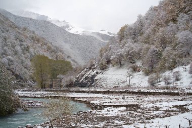 Temiz dağ nehri karlı bir vadide akıyor.