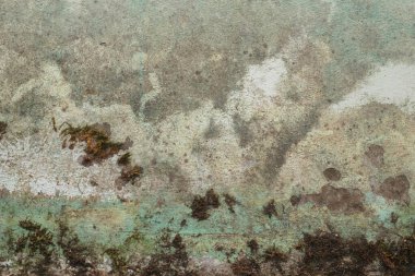 Kaba desenli eski püskü duvarlar möö 'lerle kaplı