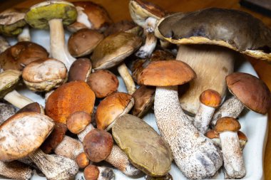 Mutfak masasında çiğ mantar var..