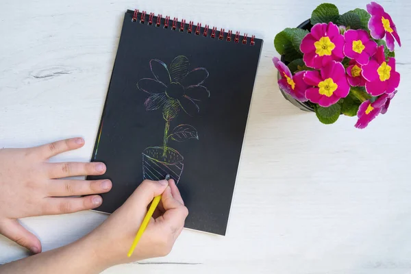Scratch painting paper with flower on it and flower pot.