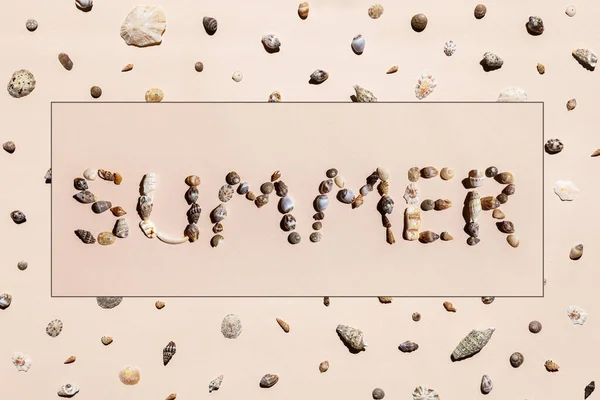 貝殻のコラージュの背景 貝殻から夏の手紙 — ストック写真