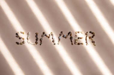 Deniz kabuklarından gelen mektuplar, rahatlama konsepti..