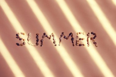 Deniz kabuklarından gelen mektuplar, rahatlama konsepti..