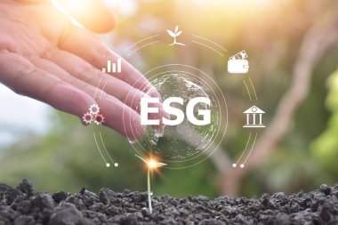 ESG Çevre Yönetimi kavramında ağaç tohumlama artışı