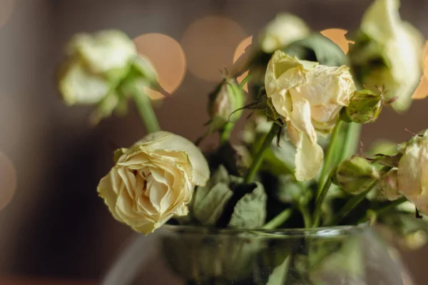 Bouquet of miniature weathered roses. Small dried roses in vase. White flowers close up. Withering concept. Parting concept. Sad love concept. Flowers for dating. Spring nature. Wedding decoration.