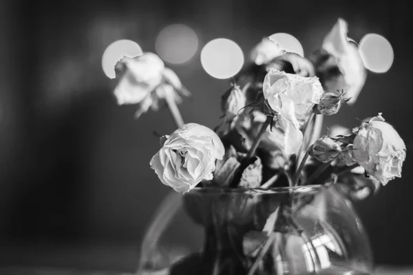 Bouquet of weathered roses, black and white. Small dry roses in vase, monochrome. White flowers close up. Withering concept. Sad love concept. Flowers for dating. Wedding decoration.