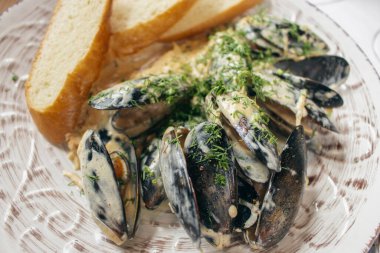 Krema soslu midyeler ve ekmek. Deniz ürünleri kapanıyor. Balık tabağı, üst manzara. Balık lokantası menüsü. Soslu kabuklu kızarmış midye. Akdeniz yumuşakçaları. Düz bir fotoğraf.. 