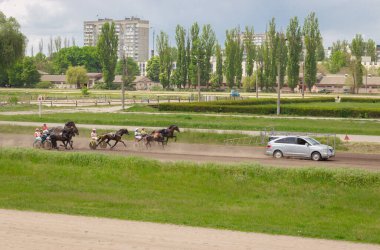 Kyiv, Ukrayna - 23 05 2023: yarış atı hareket halinde. Jokeyler ve atlar Kyiv 'de hipodromda. Yarış atı geçmişi. Sahada koşumlu aygırlar. Biniciler at eğitiyor. Dizginli koşan atlar. 