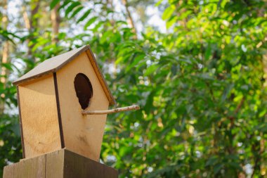 Bird house on a tree. Wooden feeder in the forest. Wildlife protection. Forest landscape. Hanging birdhouse in woods. Wild birds concept. Shelter for birds. Wildlife concept.  clipart