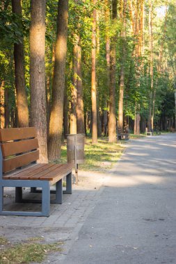 Ormanda boş bir bank. Tranquil Park 'ta sabah güneşi. Huzurlu bir manzara. Ormanda boş bir bank ve yürüyüş yolu. Doğal parkın perspektifi. Parkland 'da güneşli bir sabah. Sonbahar doğası. Sonbahar doğa duvar kâğıdı. 