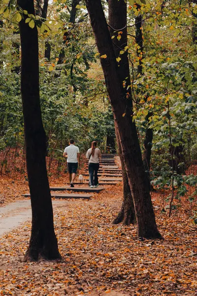 Пара Собакой Тропе Осеннем Лесу Семья Прогуливается Открытой Лестнице Осеннем — стоковое фото