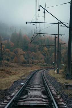 Dağlarda demiryolu. Sonbahar dağlarında demiryolu rayları. Sisli sabah manzarasında demiryolu. Ulaşım endüstrisi. Seyahat yerleri kavramı. Lojistik altyapı. Sonbahar ormanlarında demiryolu rayları, Ukrayna.