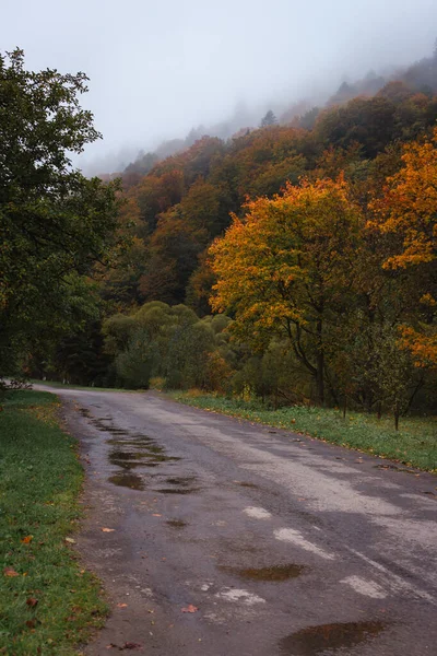 Empty road in Carpathian mountains after rain. Autumn rural landscape. Autumn forest in fog and road to the village. Empty road in countryside. Autumn travel. Idyllic fall nature. Rainy weather in mountains.