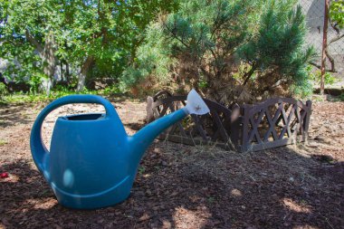 Bahçedeki mavi sulama kutusu. Yerde plastik sulama kutusu var. Bahçe aletleri. Kırsal yaşam tarzı. Çiçek tarhında su kabı. Çiftçilik kavramı. 