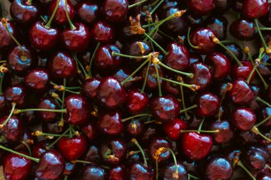 Kırmızı kiraz arka planı. Markette olgun kirazlar. Yaz hasadı konsepti. Sağlıklı bir yaşam tarzı. Meyveler ve böğürtlenler düzdü. İzole edilmiş taze kirazlar. Doğal arkaplan. 