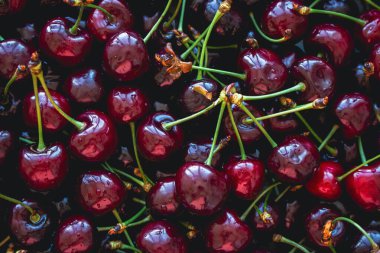 Kırmızı kiraz arka planı. Markette olgun kirazlar. Yaz hasadı konsepti. Sağlıklı bir yaşam tarzı. Meyveler ve böğürtlenler düzdü. İzole edilmiş taze kirazlar. Doğal arkaplan. 