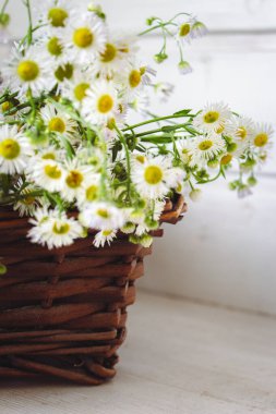 Hasır sepette küçük demetler. Masanın üzerinde papatya çiçekleri var. İçi beyaz çiçeklerle dolu. Çiçek hediyesi. Kırsal yaşam tarzı. Dekordaki papatya çiçekleri. Yaz mevsimi doğası.