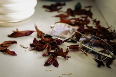 Beyaz arka planda solmuş çiçekli gözlük. Kırmızı yapraklı klasik gözlükler, retro tarzı. Eski tarz optikler. Geçmişe dönüş. Samimi ve hayat dolu. Eski moda yaşam tarzı.