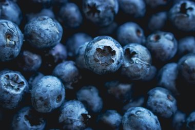 Su damlalarında taze yaban mersini, üst manzarayı kapatın. Siyah ve mavi sulu meyveler. Doğal mavi arka plan. Yaz vitamin hasadı. Doğal beslenme. Sağlıklı yiyecekler. Tazelik kavramı. Bir grup olgun yabanmersini..